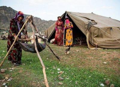 عشایر ماکو سالانه بیش از 1700 تن گوشت قرمز تولید می کنند