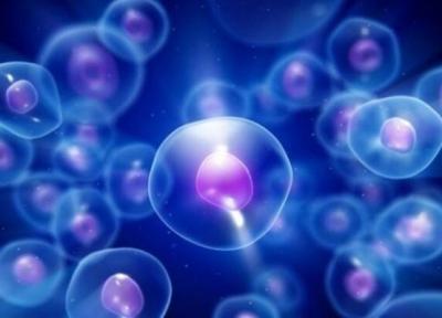 20 مرکز فعال در حوزه سلول درمانی ایجاد شده است