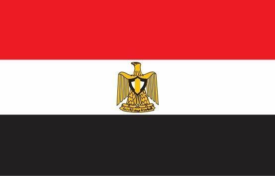 کوشش مصر برای میانجیگری بین انصارالله و عربستان